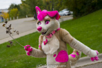 Fursuit Romp Oct 13 2018-206 