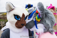 Fursuit Romp Oct 13 2018-273 