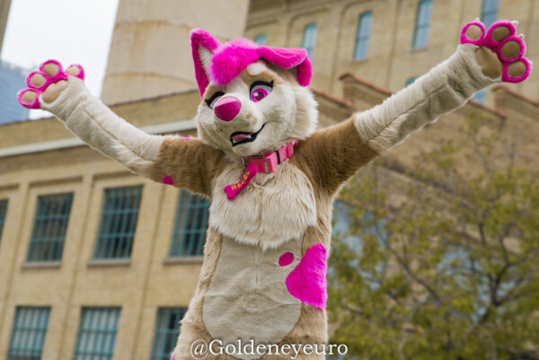 Fursuit Romp Oct 13 2018-409