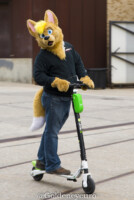 Fursuit Romp Oct 13 2018-445 
