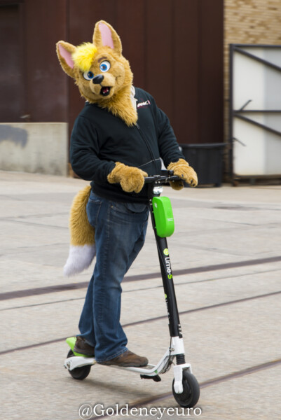 Fursuit Romp Oct 13 2018-445