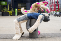 Fursuit Romp Oct 13 2018-475 