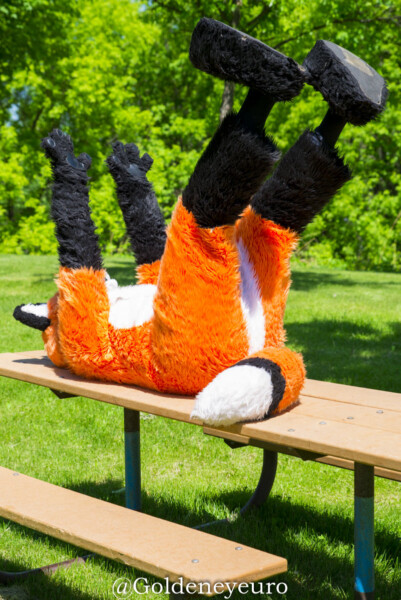 047_MNFurs Spring Picnic 2018-064