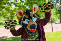 084_MNFurs Spring Picnic 2018-148 