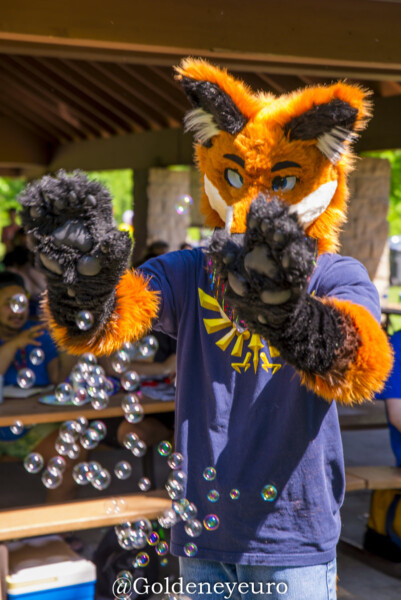 086_MNFurs Spring Picnic 2018-343