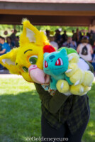 275_MNFurs Spring Picnic 2018-177 