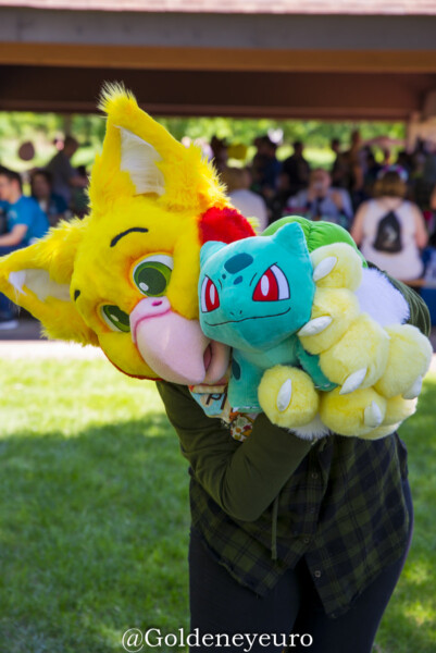 275_MNFurs Spring Picnic 2018-177
