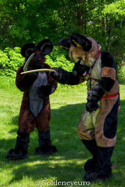 335_MNFurs Spring Picnic 2018-099