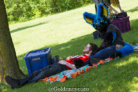 368_MNFurs Spring Picnic 2018-006 