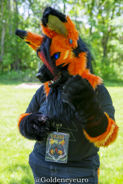 370_MNFurs Spring Picnic 2018-244