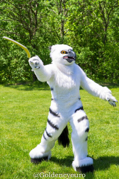 422_MNFurs Spring Picnic 2018-080