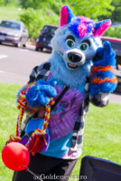 506_MNFurs Spring Picnic 2018-373 
