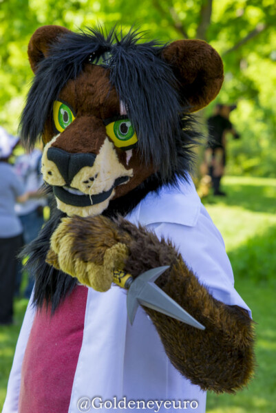 513_MNFurs Spring Picnic 2018-271