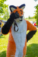 525_MNFurs Spring Picnic 2018-025 