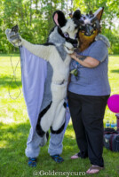 596_MNFurs Spring Picnic 2018-301 
