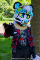 924_MNFurs Spring Picnic 2018-149 