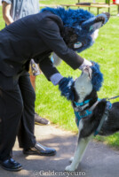 929_MNFurs Spring Picnic 2018-273 