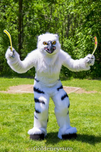 950_MNFurs Spring Picnic 2018-117