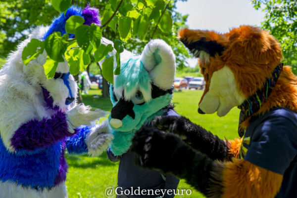 953_MNFurs Spring Picnic 2018-124