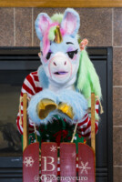 MNFurs Winter Party 2018-011 