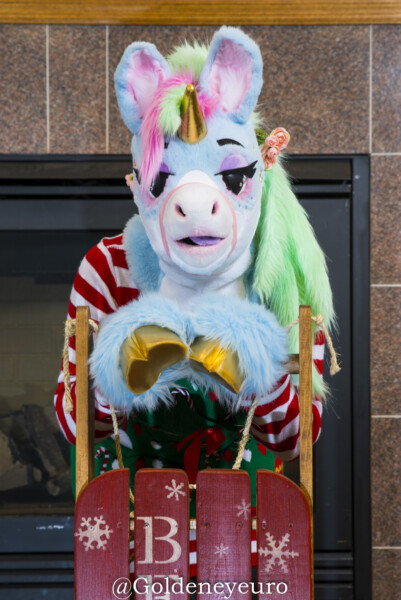 MNFurs Winter Party 2018-011