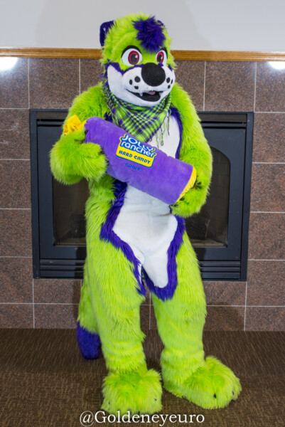 MNFurs Winter Party 2018-022