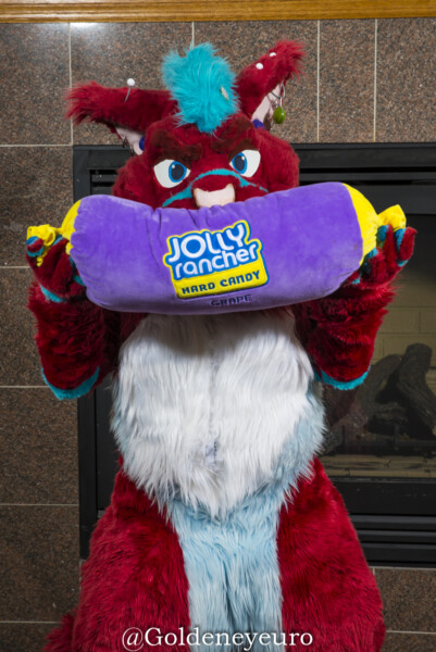 MNFurs Winter Party 2018-030
