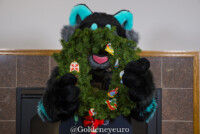 MNFurs Winter Party 2018-047 