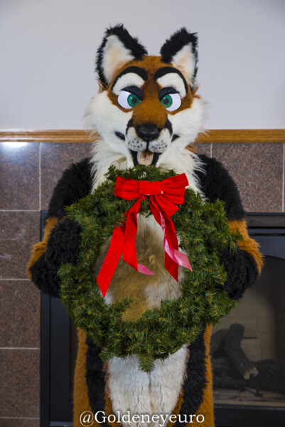 MNFurs Winter Party 2018-073