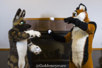 MNFurs Winter Party 2018-078 