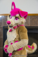 MNFurs Winter Party 2018-103 
