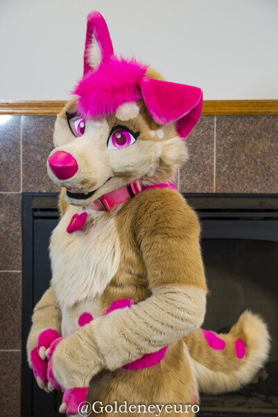 MNFurs Winter Party 2018-103