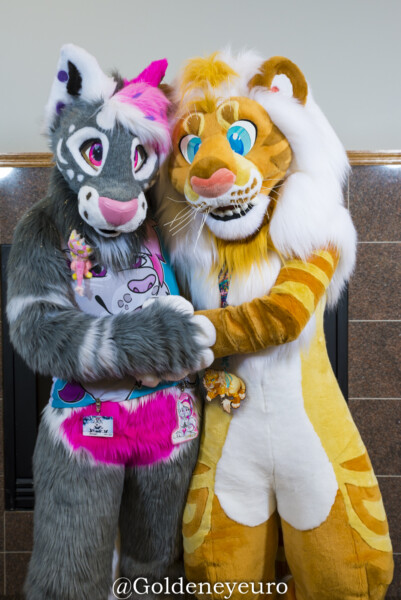 MNFurs Winter Party 2018-107