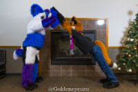 MNFurs Winter Party 2018-122 