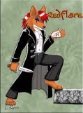redflare-commission-2006